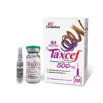 Taxcef injection IM 500mg