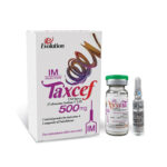 Taxcef injection IM 500mg